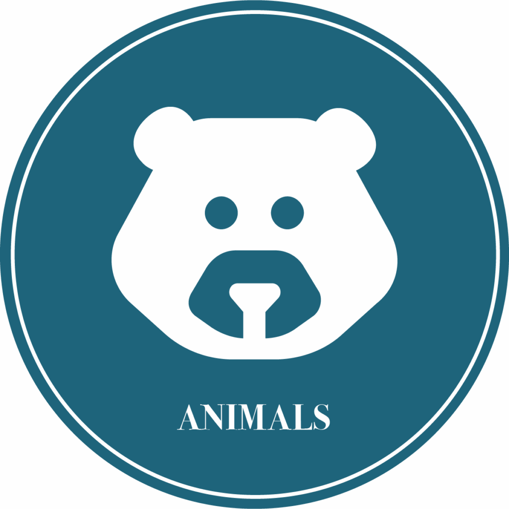 Animals